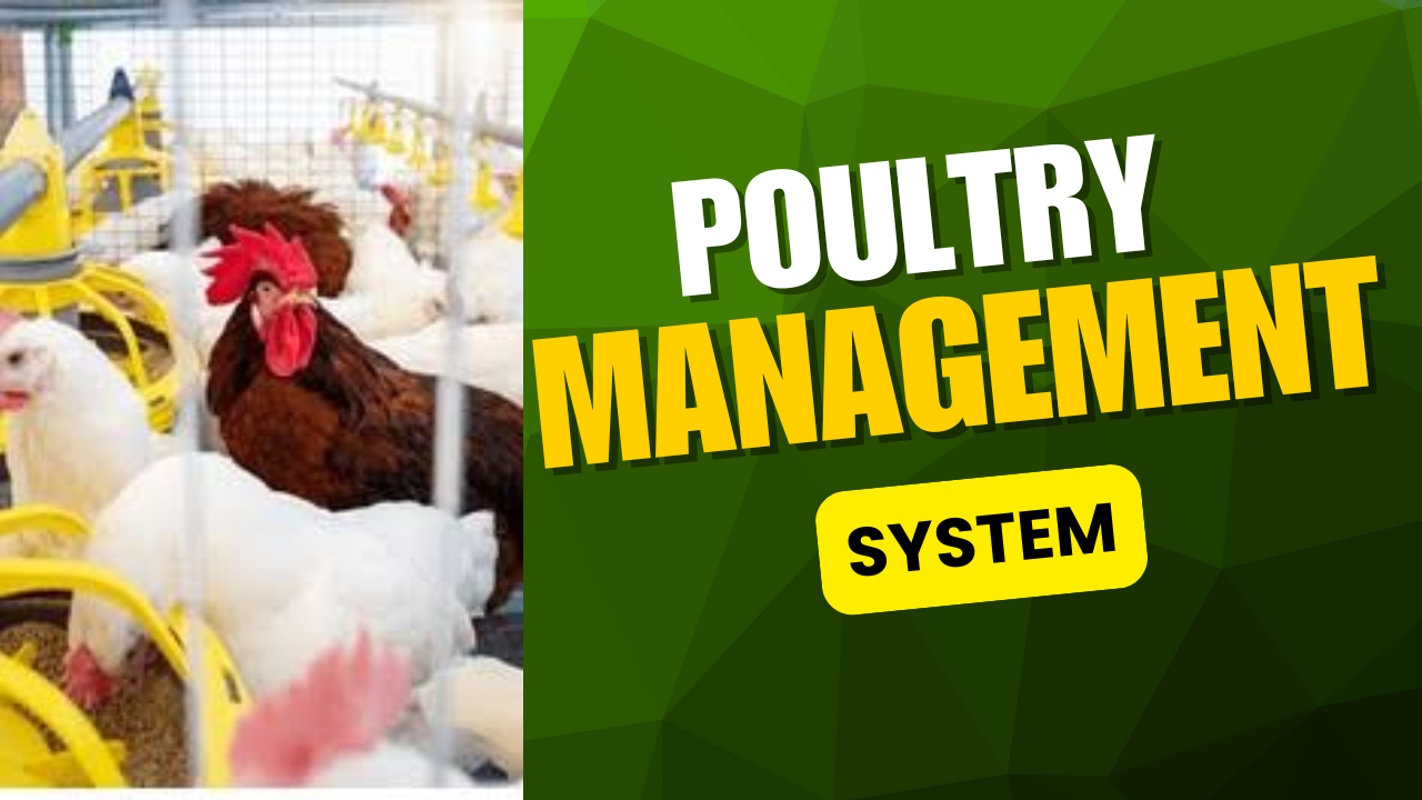 Poultry-Management-System